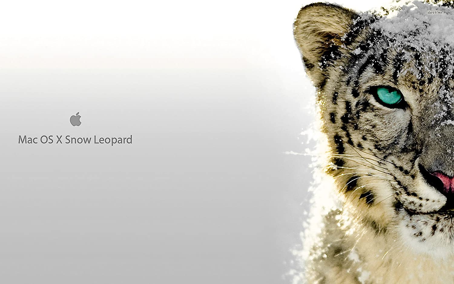 crea te usb for mac snow leopard